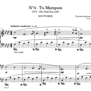 N°4 - Tu Manques ; N°4 - The Void You Left